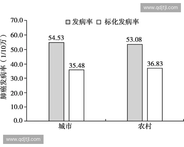 《全面解析超赛程表的设计与优化策略，助力赛事管理与观众体验提升》